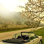 Danube Dreamin' * Leiben