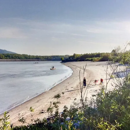 Danube Dreamin' Holiday home Leiben