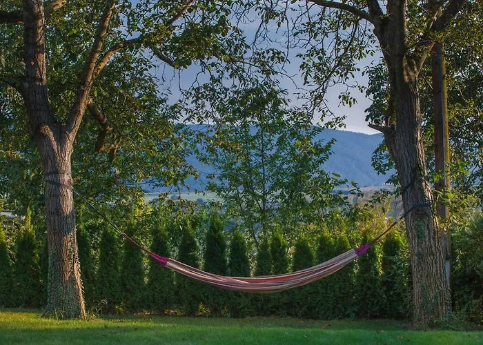 Danube Dreamin' Holiday home