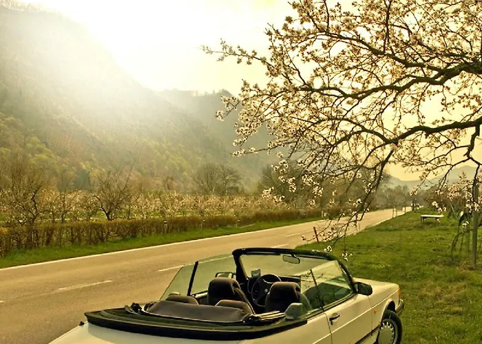 Danube Dreamin' * Leiben