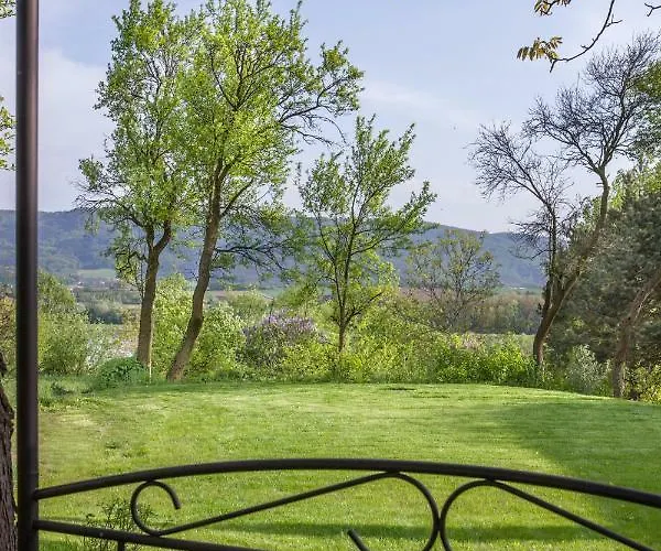 Danube Dreamin' * Leiben